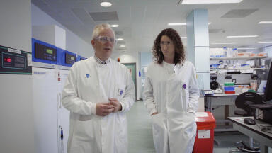 Engineered Llama Antibodies Neutralise Covid-19 Virus